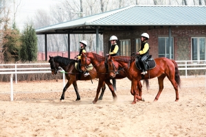 北京市私立汇佳(ib)学校