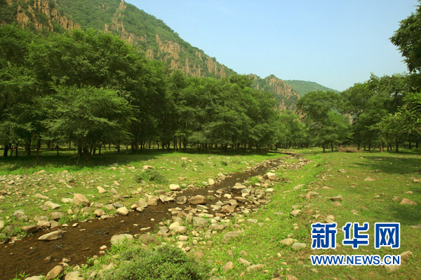 赤城县黑龙山森林公园的树林、溪流相映成趣（7月18日摄）。新华网记者 杨理光摄