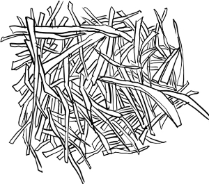 彭培初:调节相火治前列腺病