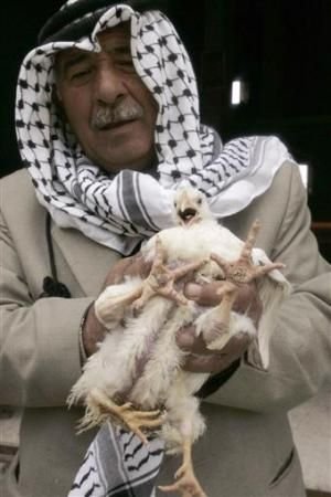 盘点恐怖诡异的变异动物