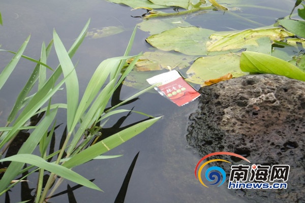 　　冷泉内随处漂浮着被丢弃的食物包装袋(南海网见习记者刘莎网络截图)