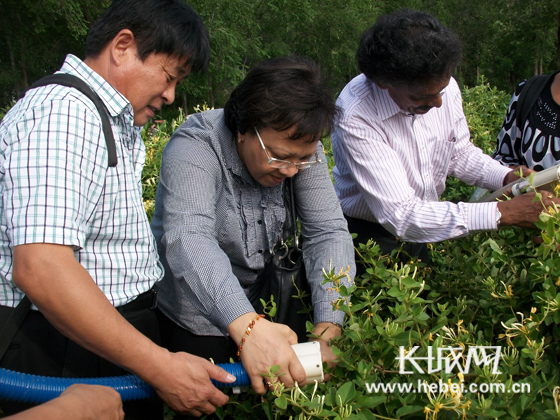 祝贺联合国粮农组织投资40万美元项目落户巨