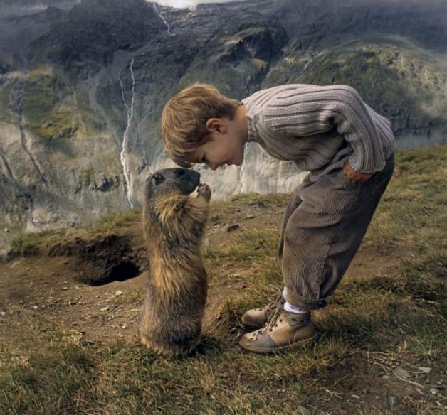 图:奥<em>八岁男童</em>与土拨鼠友谊深厚