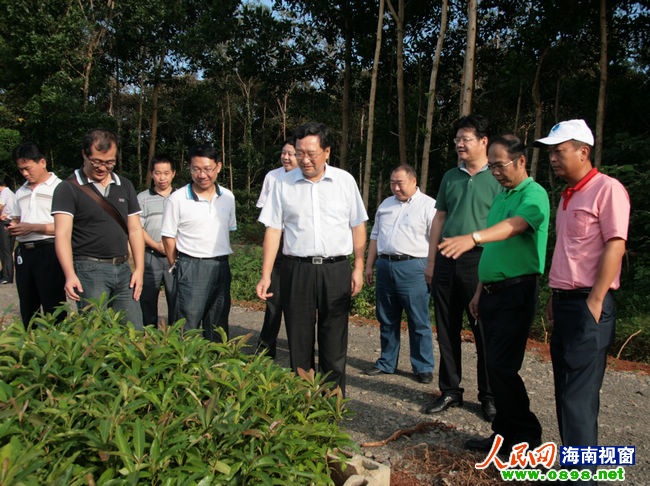 省国资委主任吕宜勇:要争分夺秒抓项目建设