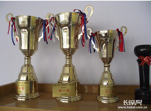 柴沟堡实验小学在围棋比赛中所获荣誉。长城网 李宏 摄