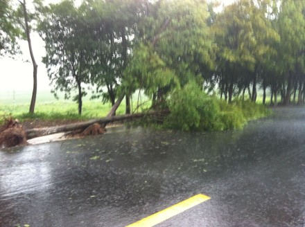 【风雨交加】