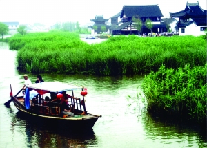 沙家浜 芦苇荡