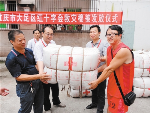 大足公共卫生服务迈上新台阶