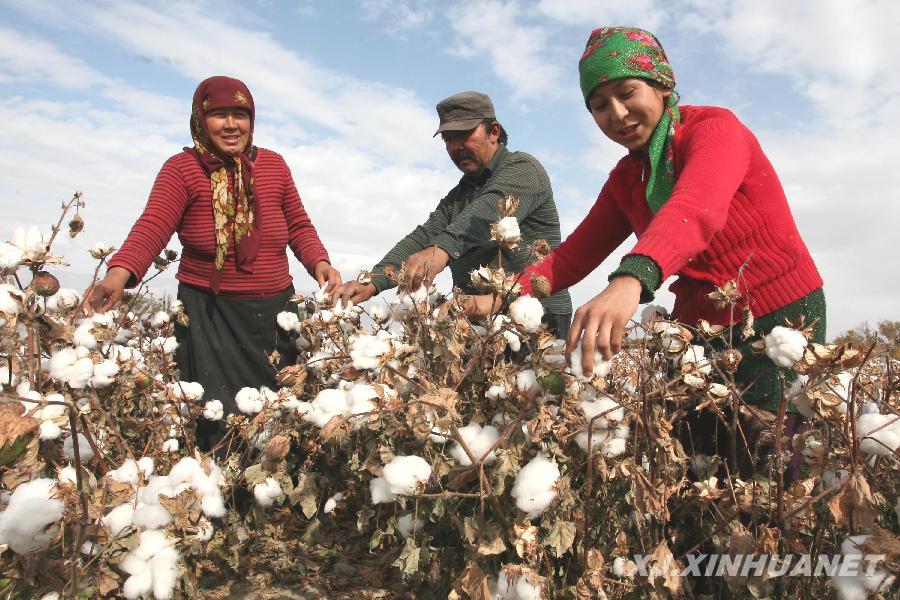 在新疆巴音郭楞蒙古自治洲库尔勒市,来自新疆和田地区的农民在新疆