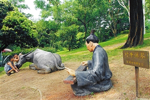 野生动物园内 围观"对牛弹琴"