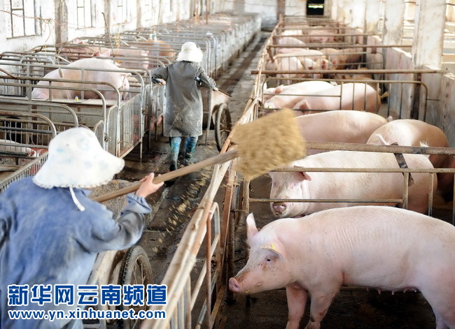 云南富源GDP_云南富源刘官镇地图(3)