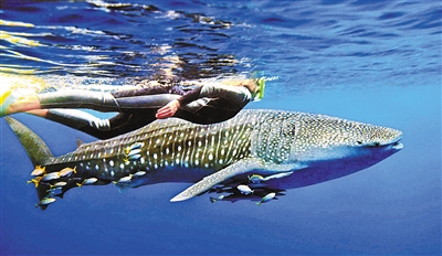 梦境中的无私与友谊，解读梦见和朋友在家门前深河中抓鱼，活鱼都让给他们