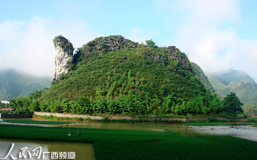大化七百弄:国内唯一以深洼地为主的地质公园开门迎客_资讯频道_凤凰网