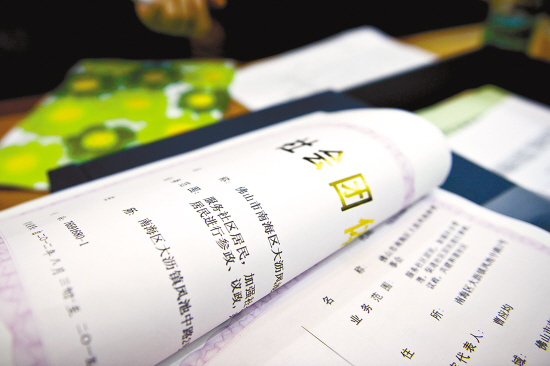 汪洋调研推动凤池小政协模式出台