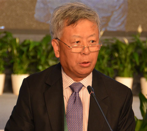 中国投资有限公司监事长 iff国际顾问委员会委员 金立群