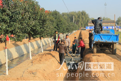 土地整理的总进度计划怎么写啊?有农渠、农沟