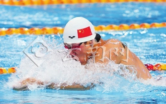 2012国际泳联短池游泳世界杯系列赛北京站_资