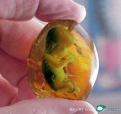 湖北亿元盗墓案告破 盘点史上最狠盗墓贼和盗