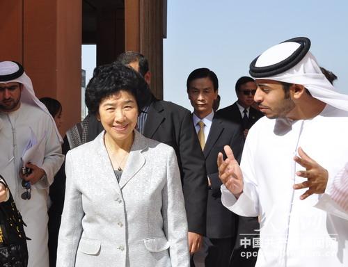 全国政协副主席王志珍参观阿布扎比马斯达尔城