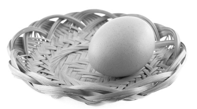 新鲜鸡蛋表面有光滑的膜覆盖、颜色鲜明、气孔