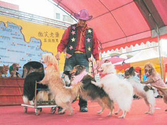 狗明星考证当 街头艺人 ? 台湾动物保护团体反对