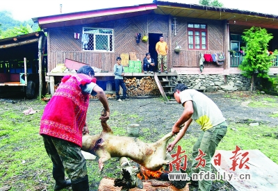 下察隅镇沙琼僜人村,村民们正在房前杀猪。如