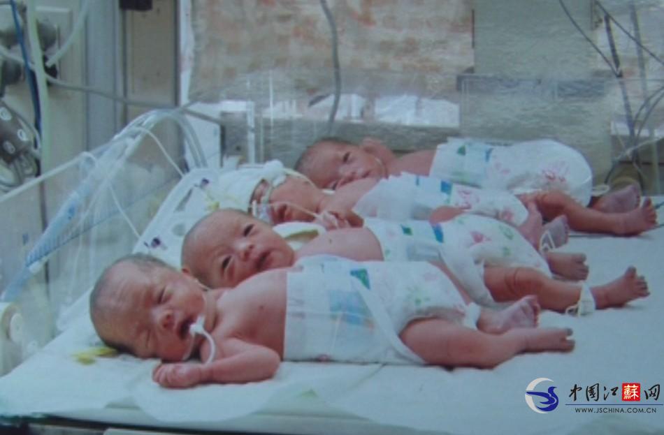 宿迁贫困农家降生四胞胎 入不敷出愁煞父母