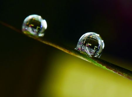 水珠里的解放碑