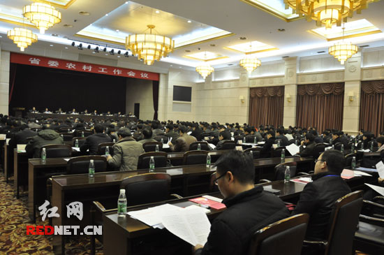 邵阳耳环饰品_邵阳农民人均纯收入(3)