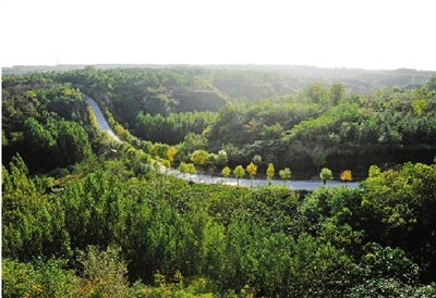 未来,郑州将建设32个主题森林公园