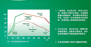 男女骨量生理年龄变化曲线示意图