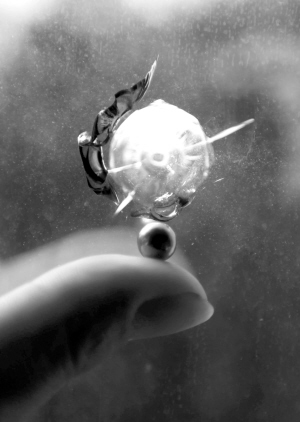 男子弹弓开火三天 打破省医院15扇窗