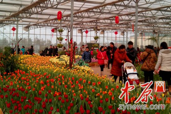 郑州绿博园晋升国家4A级景区 暂无门票涨价计