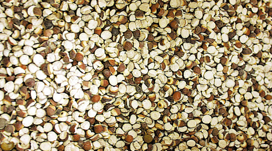 春天煲汤首选祛湿健脾汤料