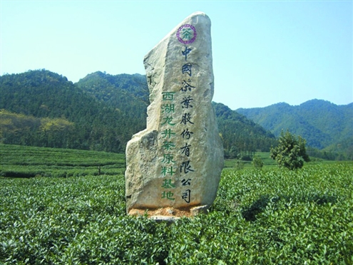 请问龙井茶叶可以和新鲜的柠檬片一起泡水喝吗