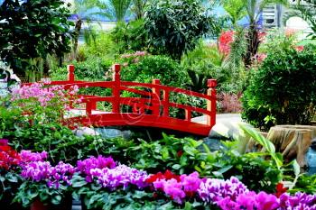 餐厅服务员穿溜冰鞋上菜速度超快|餐厅服务员