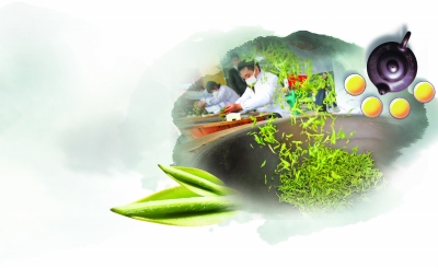 天气一惊一乍,吓得春茶推迟上市 雨花每斤约2