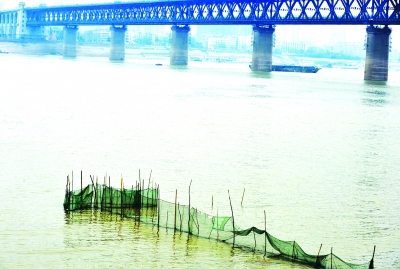 捕鱼迷魂阵非法