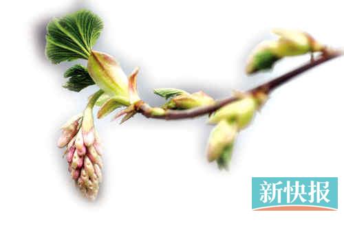 春游踏青、a情致情致春季养肝心情体验重在_资用情趣用品女调节图片