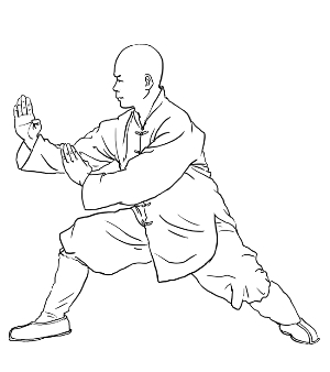 小罗汉拳·马步双推掌 双扳手_资讯频道_凤凰网