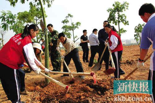 观澜发起全民植树绿化活动