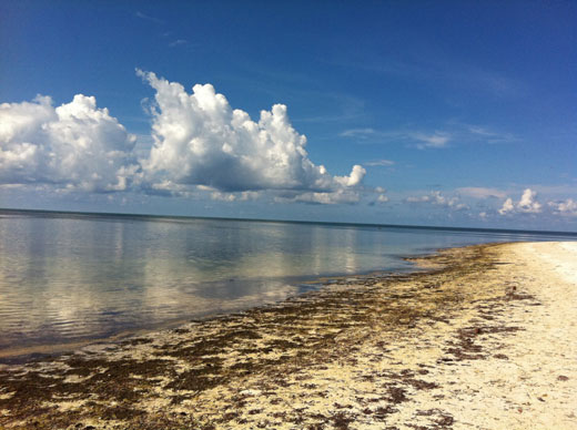 台湾天然气的最新消息 b8cbd5705fd3a4d0e1087ac725b49fab.jpg