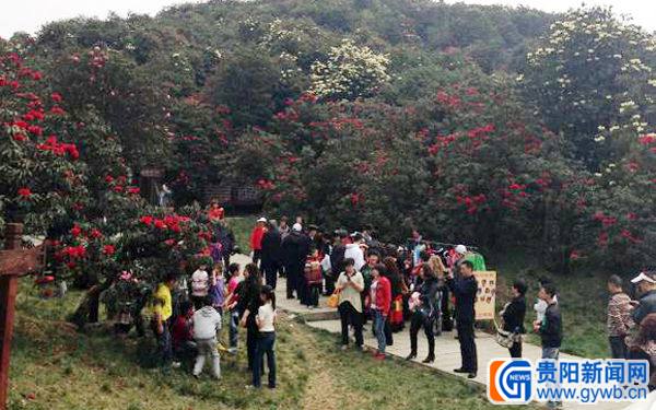 ... 红简谱 影音先锋撸撸男人站 亚洲影音先锋图片图片