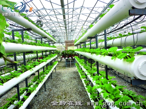 收入证明_近代农民的收入(3)