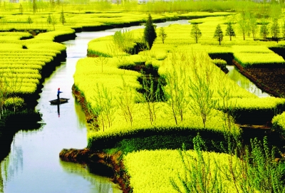 小长假高速免费,自驾赏春正是时候