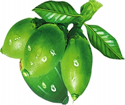 槟榔嚼出的口腔癌越来越多了