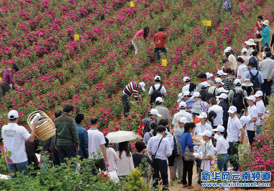 乐高钢铁侠基地图纸图片下载