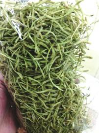 内江市场销售的金银花。