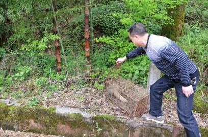 猪獾藏袋中 男子欲售当场被抓