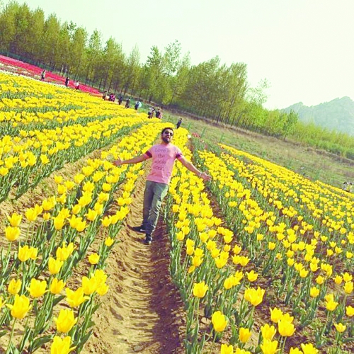 梦幻嵖岈山,从河南\穿越\到了荷兰